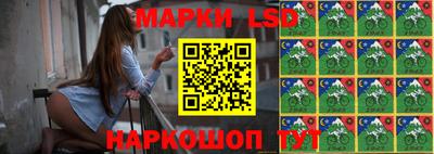 сатива Кинель