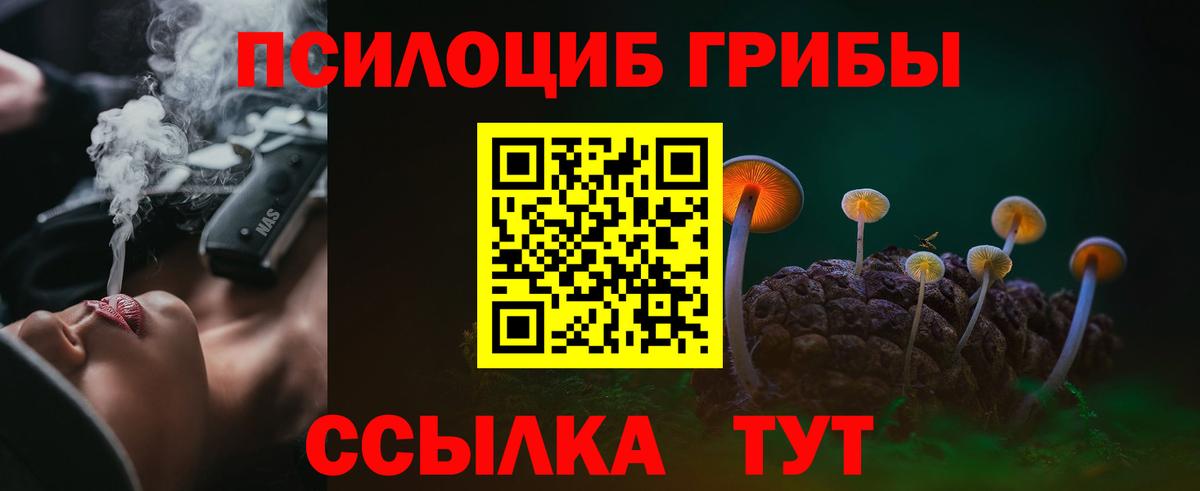 Ковров  Галлюциногенные грибы MAGIC MUSHROOMS  Вход с VPN  Псилоцибиновые грибы MAGIC MUSHROOMS 